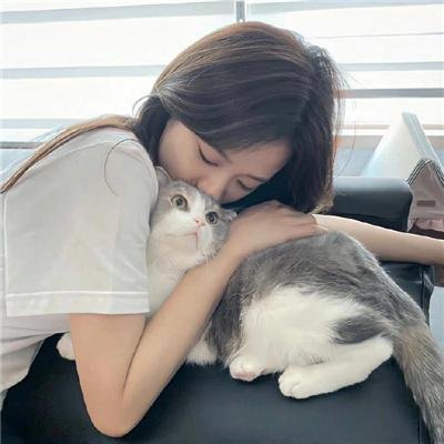 迷墙